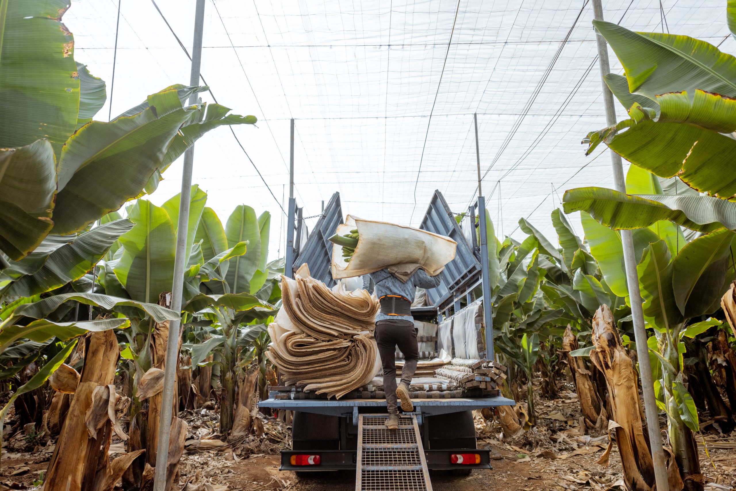 Agriculture
