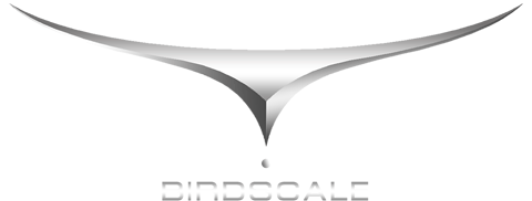 Birdscale Technology and Services